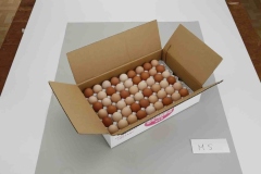 008-2　箱入り卵