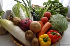 015-1　ムクダイ農法の野菜