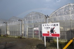 100-1　モスファーム熊本八代農場